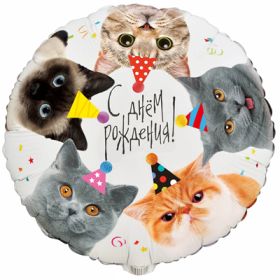 18" РУС ДР Котики фотографичные 46см