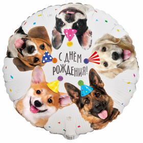 18" РУС ДР Собачки фотографичные 46см